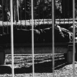 037 de tamaño mediano